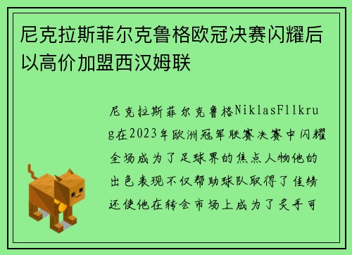 尼克拉斯菲尔克鲁格欧冠决赛闪耀后以高价加盟西汉姆联 尼克拉斯菲尔克鲁格欧冠决赛闪耀后以高价加盟西汉姆联